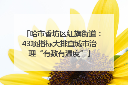 哈市香坊区红旗街道：43项指标大排查城市治理“有数有温度”