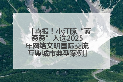 喜报！小江豚“蓝叒叒”入选2025年网络文明国际交流互鉴城市典型案例