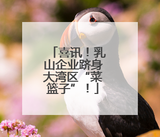 喜讯！乳山企业跻身大湾区“菜篮子”！