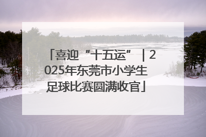 喜迎“十五运”｜2025年东莞市小学生足球比赛圆满收官