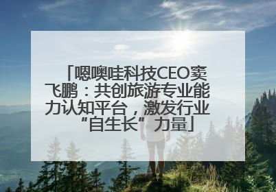 嗯噢哇科技CEO窦飞鹏：共创旅游专业能力认知平台，激发行业“自生长”力量
