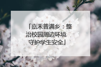 嘉禾普满乡：整治校园周边环境 守护学生安全