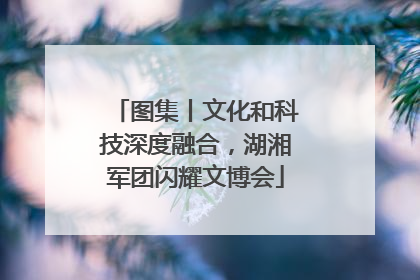图集丨文化和科技深度融合，湖湘军团闪耀文博会