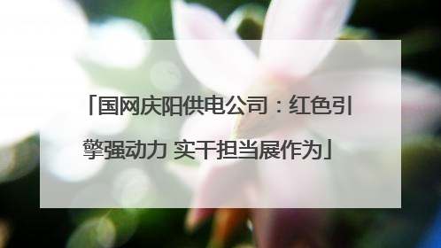 国网庆阳供电公司：红色引擎强动力 实干担当展作为