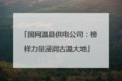 国网温县供电公司：榜样力量浸润古温大地