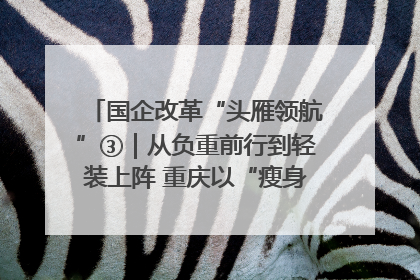 国企改革“头雁领航”③｜从负重前行到轻装上阵 重庆以“瘦身”谋“健体”