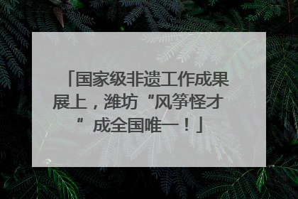 国家级非遗工作成果展上，潍坊“风筝怪才”成全国唯一！