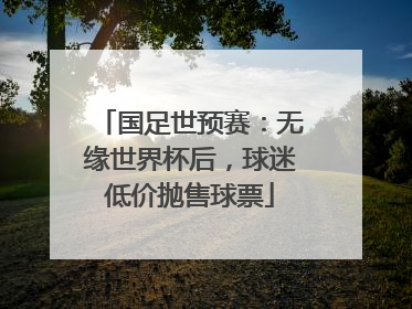国足世预赛：无缘世界杯后，球迷低价抛售球票