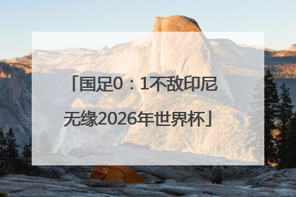 国足0：1不敌印尼 无缘2026年世界杯