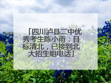 四川泸县二中优秀考生陈小雨：目标清北，已接到北大招生组电话