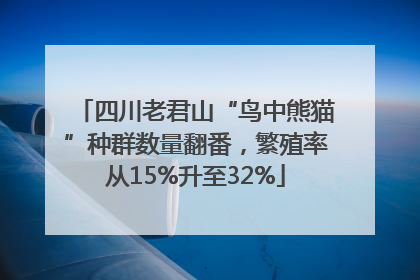 四川老君山“鸟中熊猫”种群数量翻番，繁殖率从15%升至32%