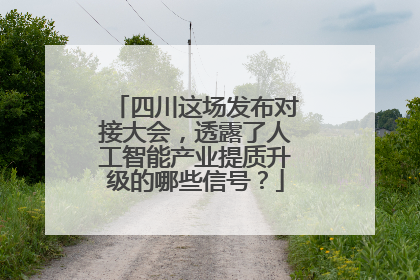 四川这场发布对接大会，透露了人工智能产业提质升级的哪些信号？