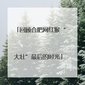 回顾合肥网红猴“大壮”最后的时光