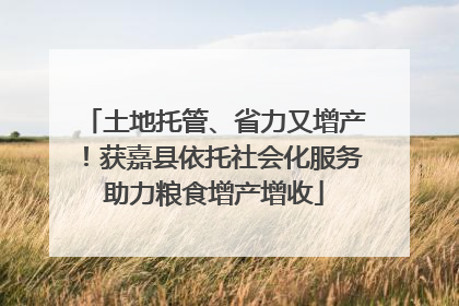 土地托管、省力又增产！获嘉县依托社会化服务助力粮食增产增收