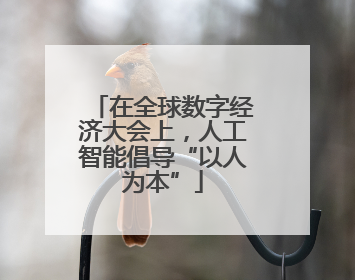 在全球数字经济大会上，人工智能倡导“以人为本”