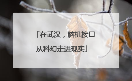 在武汉，脑机接口从科幻走进现实