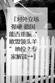 对外立场强硬 德国能否重振“欧盟领头羊”地位？专家解读→