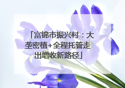 富锦市振兴村：大垄密植+全程托管走出增收新路径
