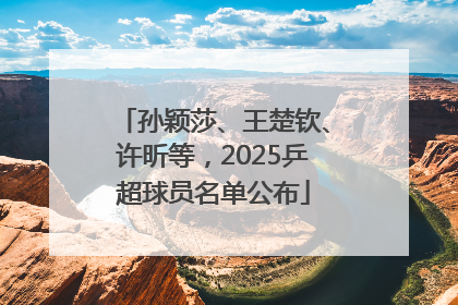 孙颖莎、王楚钦、许昕等，2025乒超球员名单公布