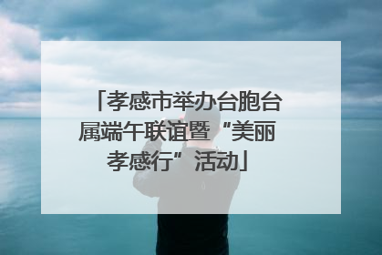 孝感市举办台胞台属端午联谊暨“美丽孝感行”活动
