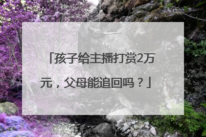 孩子给主播打赏2万元，父母能追回吗？