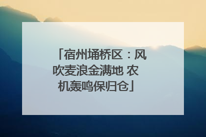 宿州埇桥区：风吹麦浪金满地 农机轰鸣保归仓