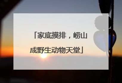 家底摸排，崂山成野生动物天堂