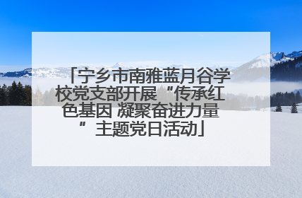 宁乡市南雅蓝月谷学校党支部开展“传承红色基因 凝聚奋进力量”主题党日活动