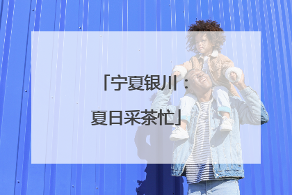 宁夏银川：夏日采茶忙