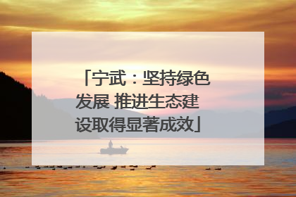 宁武：坚持绿色发展 推进生态建设取得显著成效