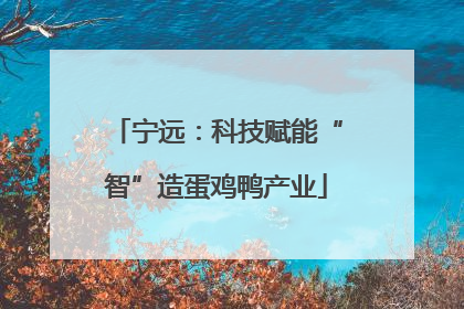 宁远：科技赋能“智”造蛋鸡鸭产业