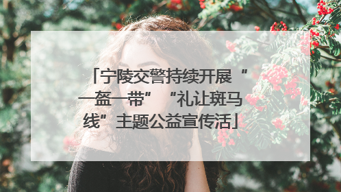 宁陵交警持续开展“一盔一带”“礼让斑马线”主题公益宣传活