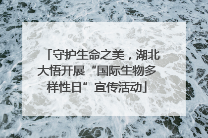 守护生命之美，湖北大悟开展“国际生物多样性日”宣传活动