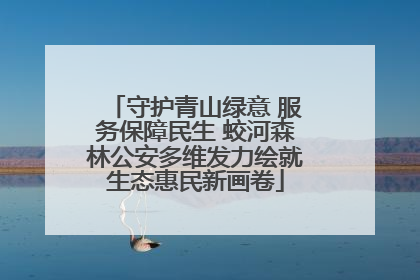守护青山绿意 服务保障民生 蛟河森林公安多维发力绘就生态惠民新画卷