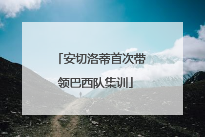 安切洛蒂首次带领巴西队集训
