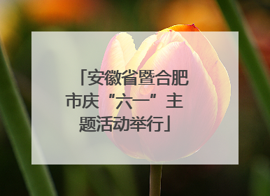 安徽省暨合肥市庆“六一”主题活动举行