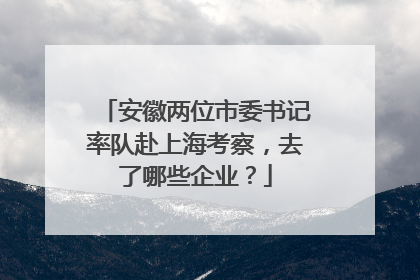 安徽两位市委书记率队赴上海考察，去了哪些企业？