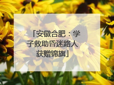 安徽合肥：学子救助昏迷路人获赠锦旗