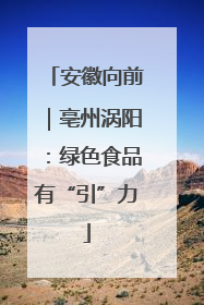 安徽向前｜亳州涡阳：绿色食品有“引”力