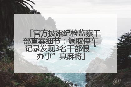 官方披露纪检监察干部查案细节：调取停车记录发现3名干部假“办事”真麻将