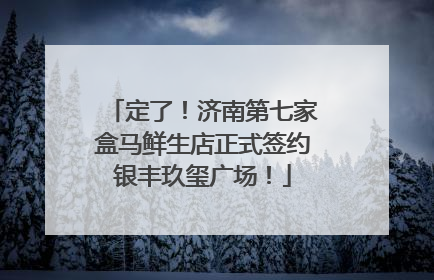 定了！济南第七家盒马鲜生店正式签约银丰玖玺广场！
