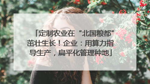 定制农业在“北国粮都”茁壮生长！企业：用算力指导生产，扁平化管理种地