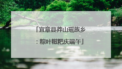 宜章县莽山瑶族乡：粽叶糍粑庆端午