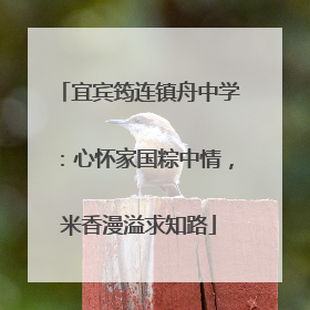 宜宾筠连镇舟中学：心怀家国粽中情，米香漫溢求知路