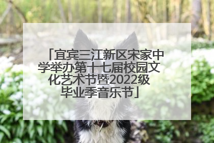 宜宾三江新区宋家中学举办第十七届校园文化艺术节暨2022级毕业季音乐节