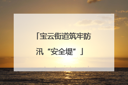 宝云街道筑牢防汛“安全堤”
