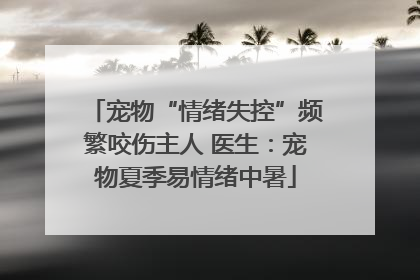 宠物“情绪失控”频繁咬伤主人 医生：宠物夏季易情绪中暑