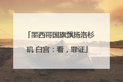 墨西哥国旗飘扬洛杉矶 白宫：看，罪证