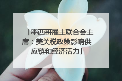 墨西哥雇主联合会主席：美关税政策影响供应链和经济活力