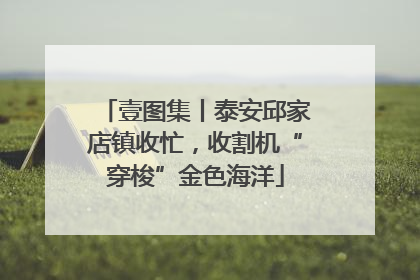 壹图集丨泰安邱家店镇收忙，收割机“穿梭”金色海洋